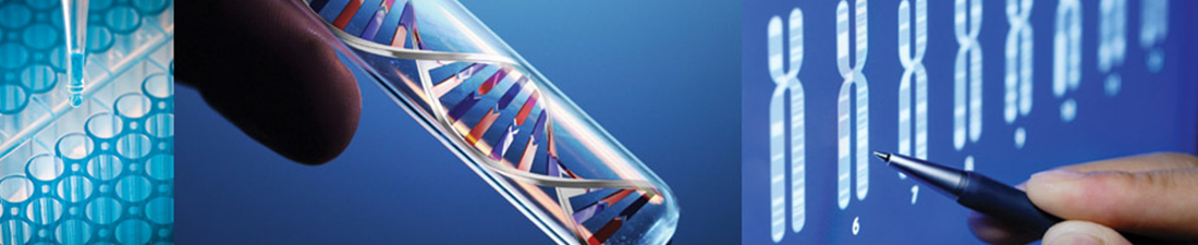 DNA-Paternity-Testing